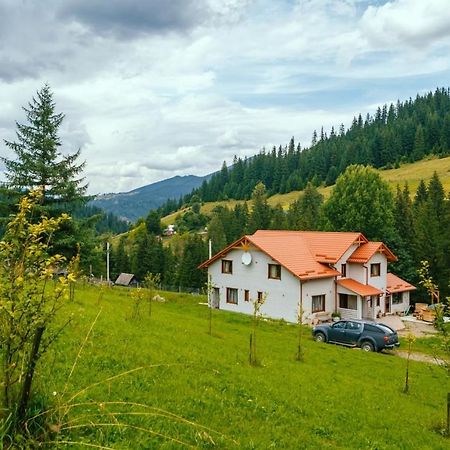 Khata Lisnyka Wierchowina Zewnętrze zdjęcie