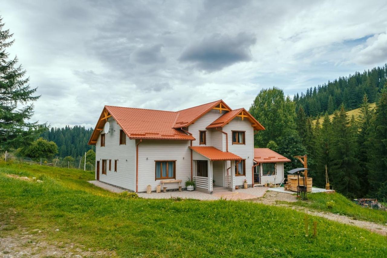 Khata Lisnyka Wierchowina Pokój zdjęcie